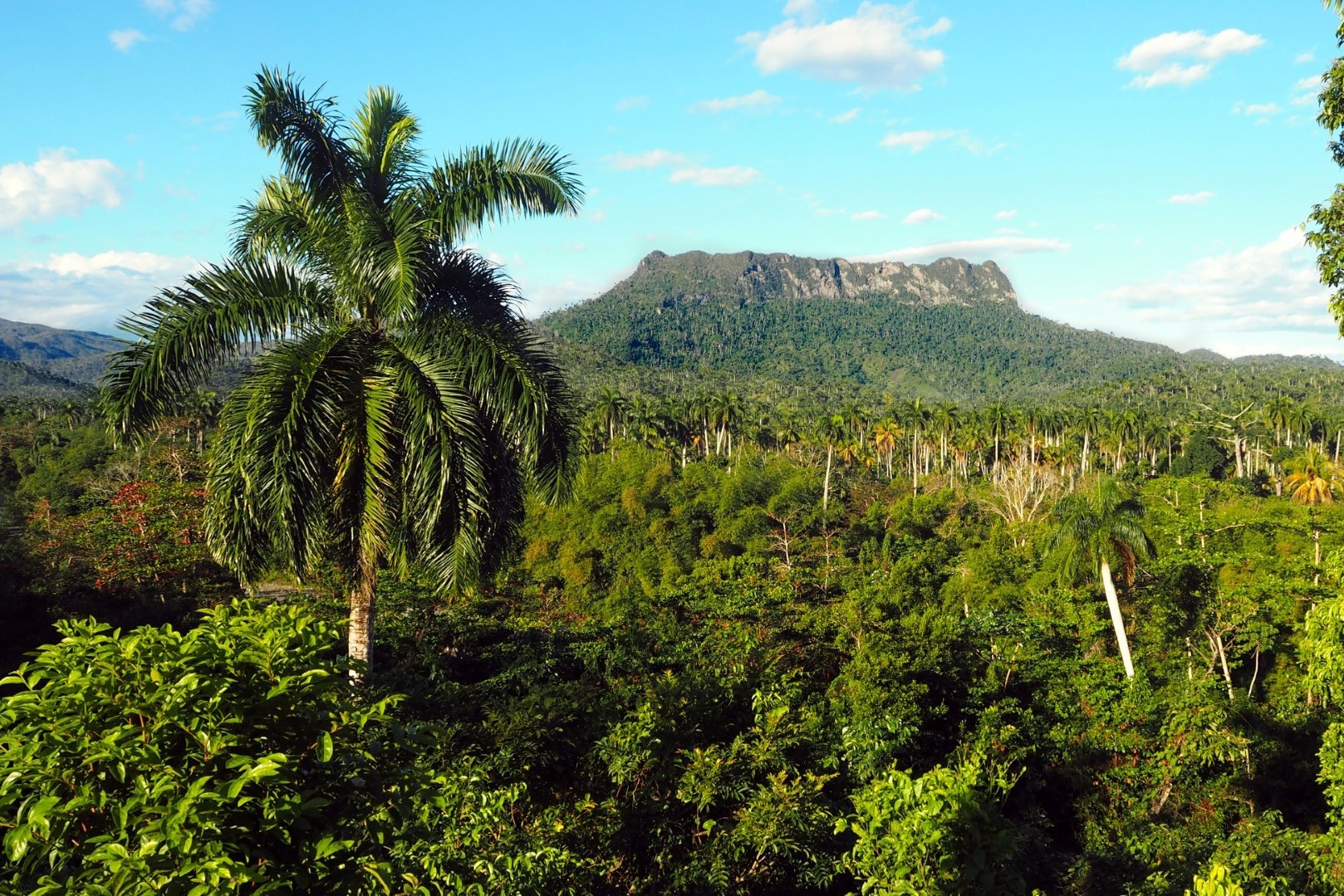 El Yunque Baracoa CUBA-EXCLUSIVO